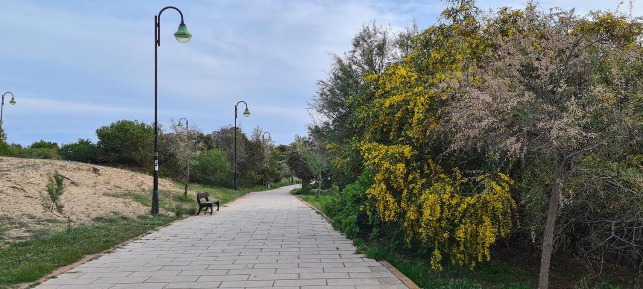 Sofia La Mata Apartman La Mata  Kültér fotó