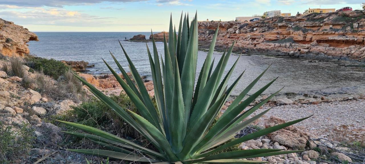 Sofia La Mata Apartman La Mata  Kültér fotó